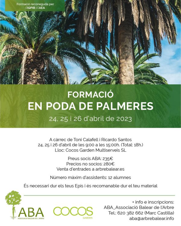 FORMACIÓ EN PODA DE PALMERES