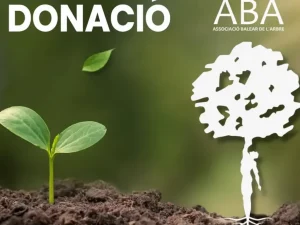 Col·laborador de projectes