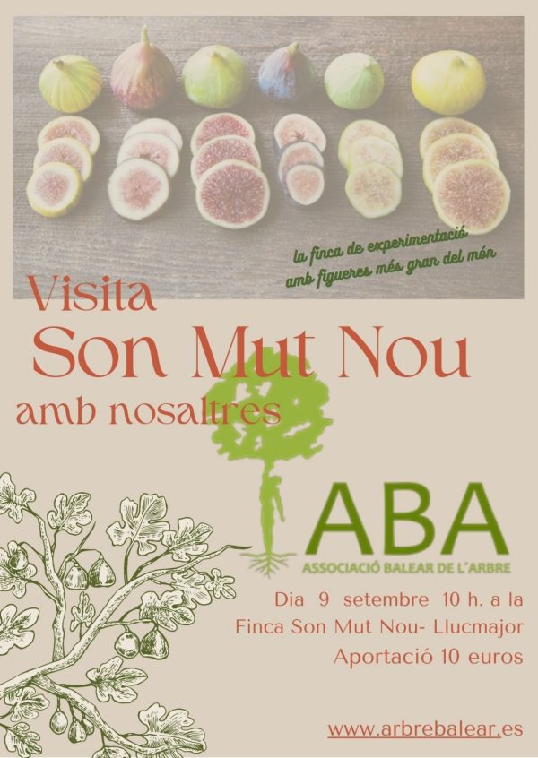 Visita Son Mut Nou amb nosaltres