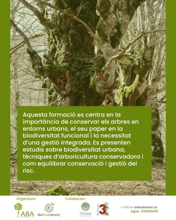 BIOTREEVERSITY. Jornadas sobre Árboles en entornos urbanos. 25 y 26 de septiembre - Imagen 2