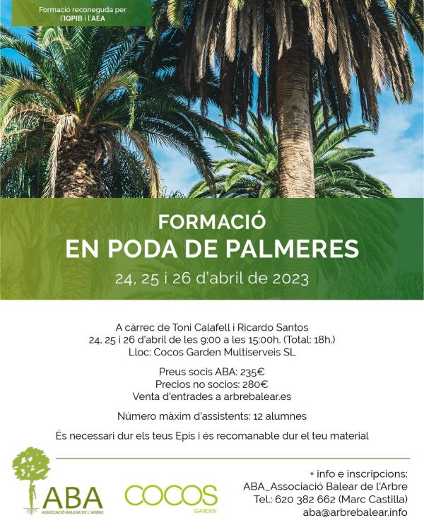 FORMACIÓ EN PODA DE PALMERES