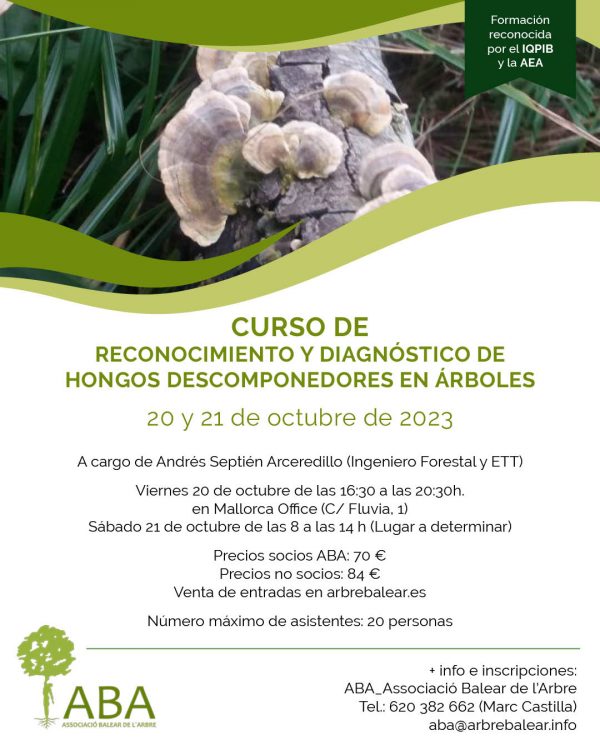CURSO DE RECONOCIMIENTO Y DIAGNÓSTICO DE HONGOS DESCOMPONEDORES EN ÁRBOLES