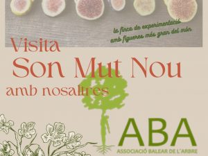 Visita Son Mut Nou amb nosaltres