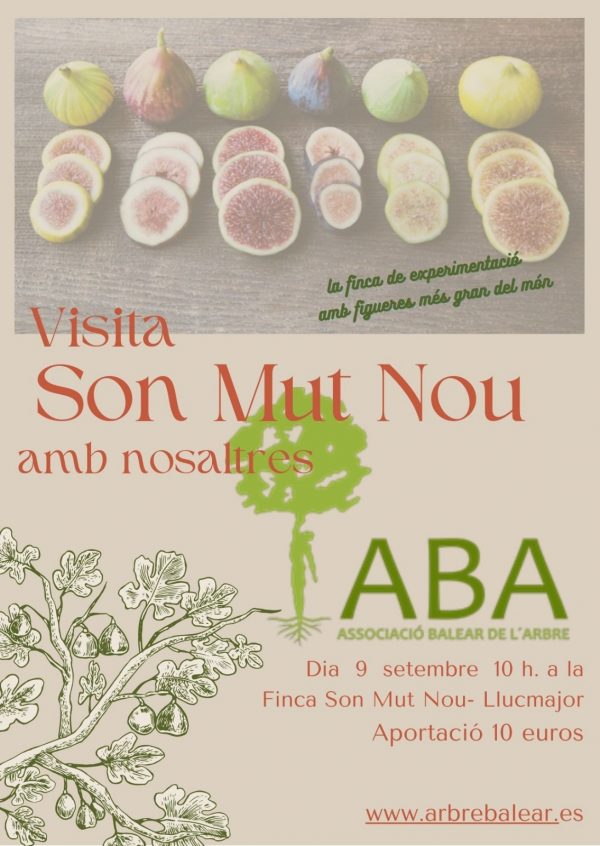 Visita Son Mut Nou amb nosaltres