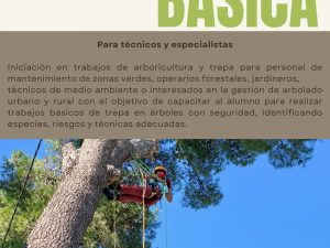 FORMACIÓ TREPA BÀSICA. Octobre 13, 14 i 15