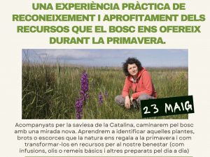 Rebotiga del Bosc: Taller d'Autocura Natural Amb Catalina de Bolic d'Herbes