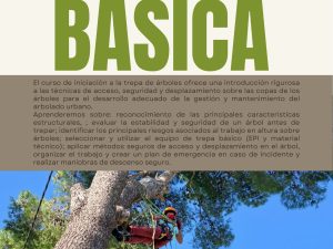 FORMACIÓ TREPA BÁSICA