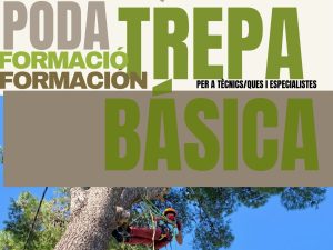 Formación en Arboricultura, Poda y Trepa (2 cursos con 5% de descuento)
