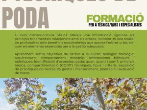 FORMACIÓ ARBORICULTURA i PODA BÀSICA.